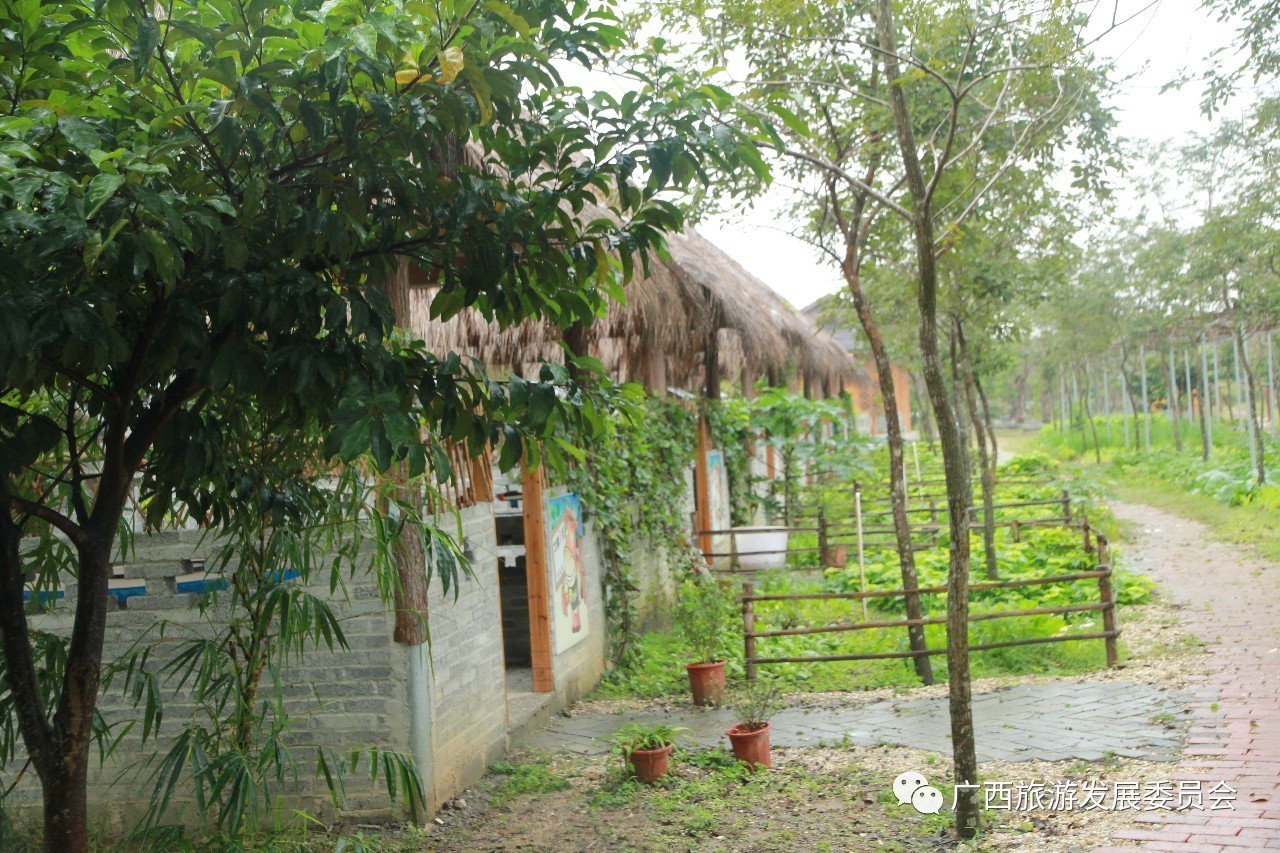 温暖人心的中国故事,感人的中国小故事