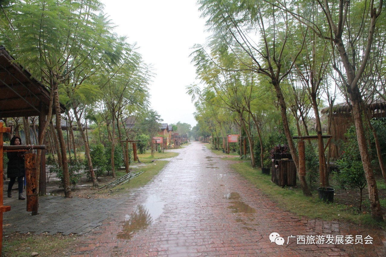 温暖人心的中国故事,感人的中国小故事