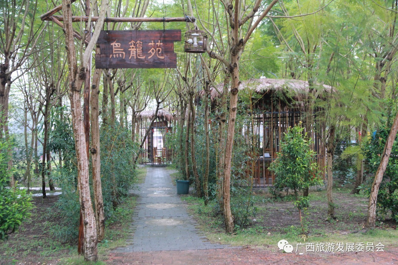 温暖人心的中国故事,感人的中国小故事