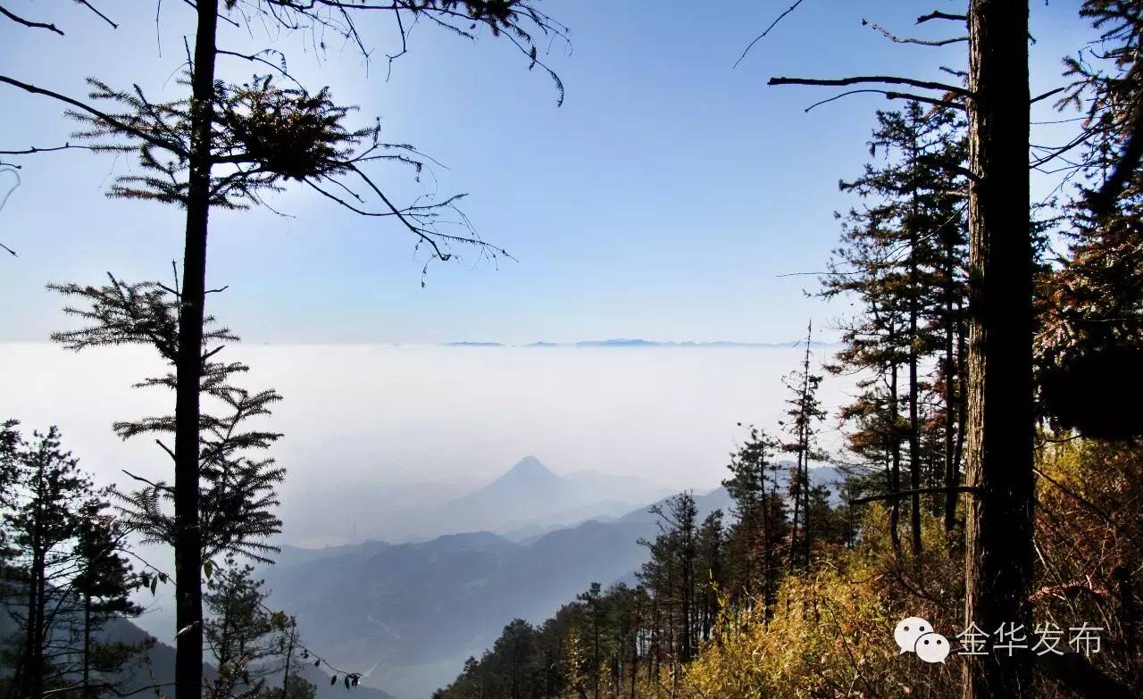 怎么高大上介绍项目,如何高大上的回答