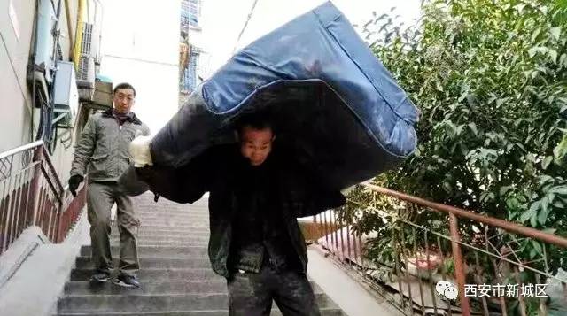 院长大搞翻新改造工程,院长翻天覆地的生活