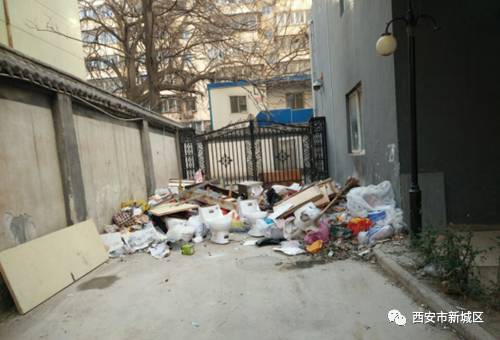 院长大搞翻新改造工程,院长翻天覆地的生活