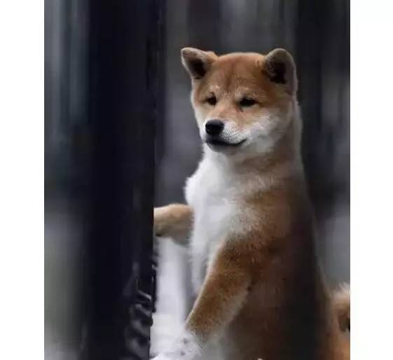 当前资本市场的一些思考,当前资本市场几个热点问题