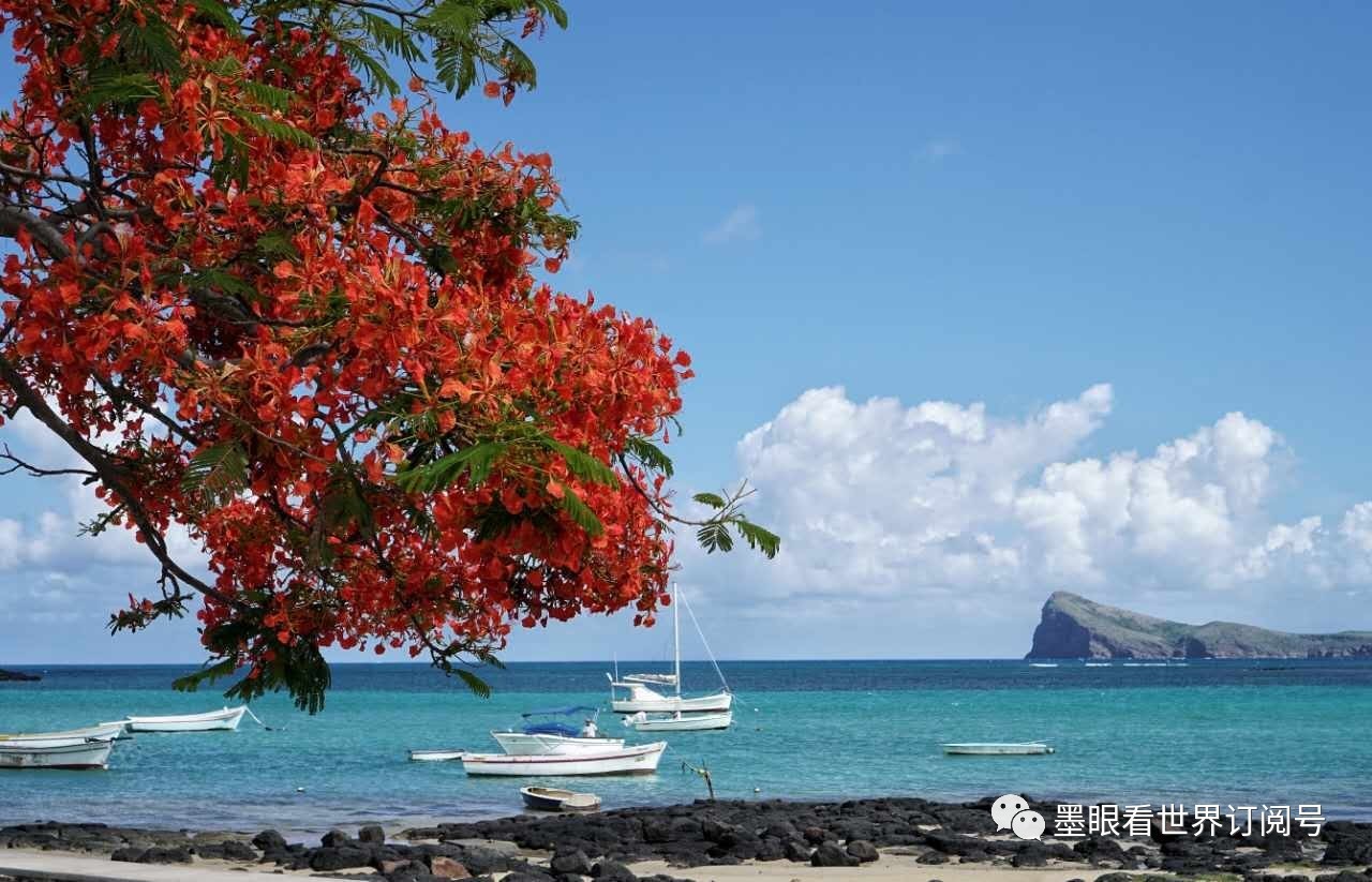 毛里求斯幸福的天堂完全版,天堂的故乡毛里求斯