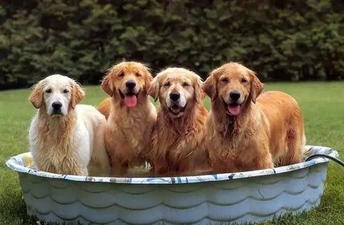 当前资本市场的一些思考,当前资本市场几个热点问题