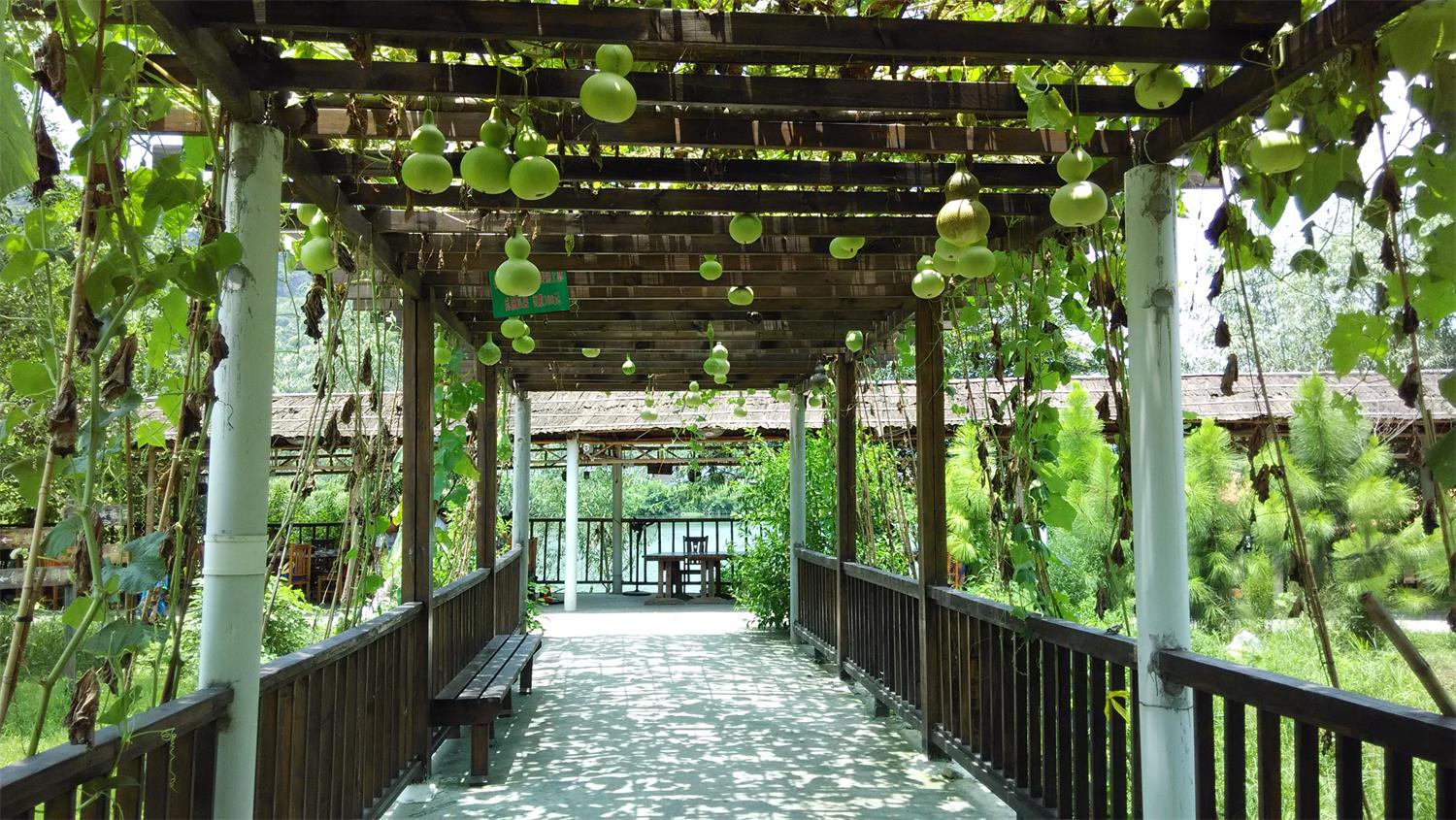 南宁附近农家乐排行榜,南宁十全十美农家乐