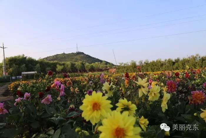 克东最近的视频,克东最新视频全集