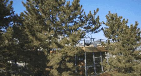 在被称做“东方瑞士”的仙境，她盖了一座令人心境荡漾的房子，森林与大海都在后花园里