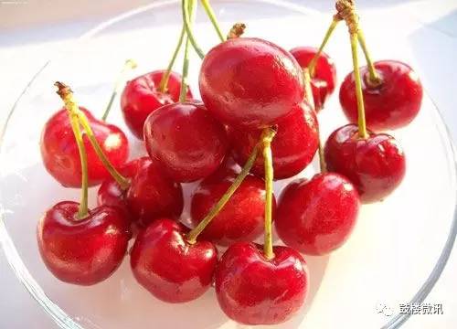 百香果都有哪些你不知道的功效,白果功效和功能及禁忌是什么