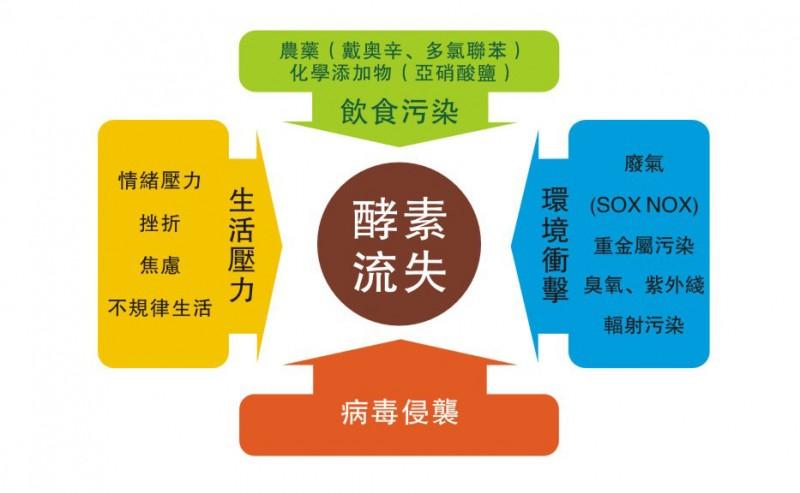 酵素喝得多就能达到减肥的效果吗,酵素真的能减肥吗行家告诉你真相
