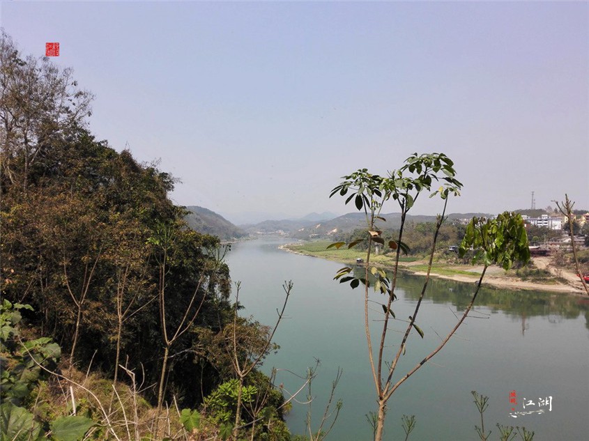 西双版纳奋斗一生,西双版纳不出门打工