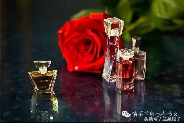 兰州苦水玫瑰,永登苦水玫瑰能够摘了吗