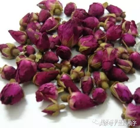 兰州苦水玫瑰,永登苦水玫瑰能够摘了吗