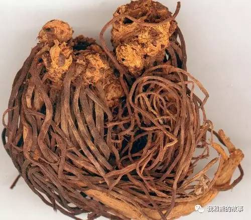 安国百花草价格,安国药草的功效和功能