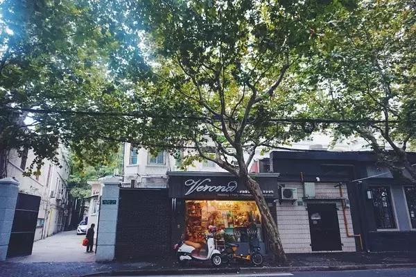 过年上海周边旅游最值得去的地方,上海假期周边旅游攻略大全