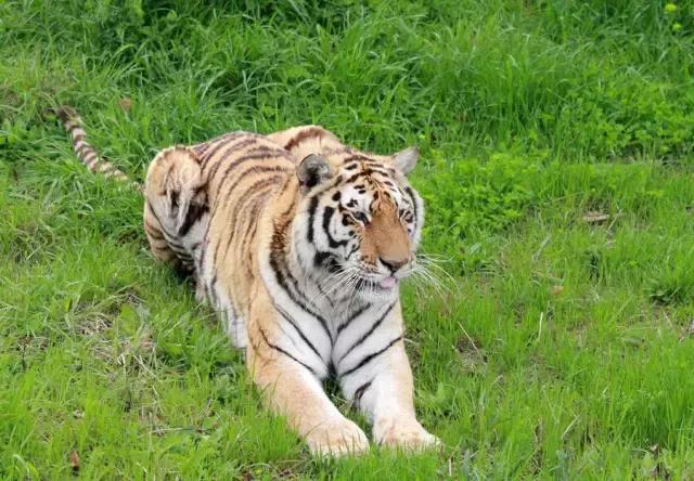 过年上海周边旅游最值得去的地方,上海假期周边旅游攻略大全