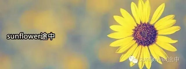 过年上海周边旅游最值得去的地方,上海假期周边旅游攻略大全