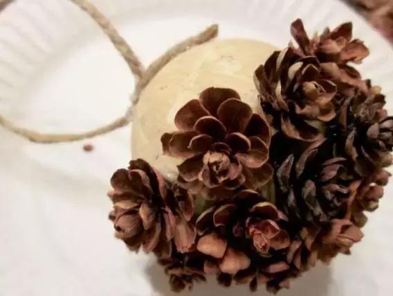 原来松果还能够这么美,原来红杉树也能够很美