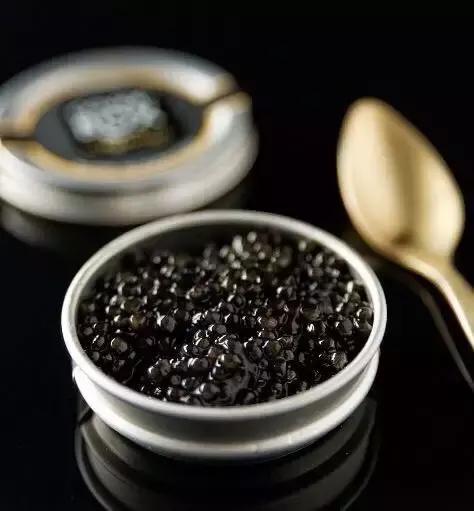 深海鱼子酱的功效与功能,来自深海的鱼完全版