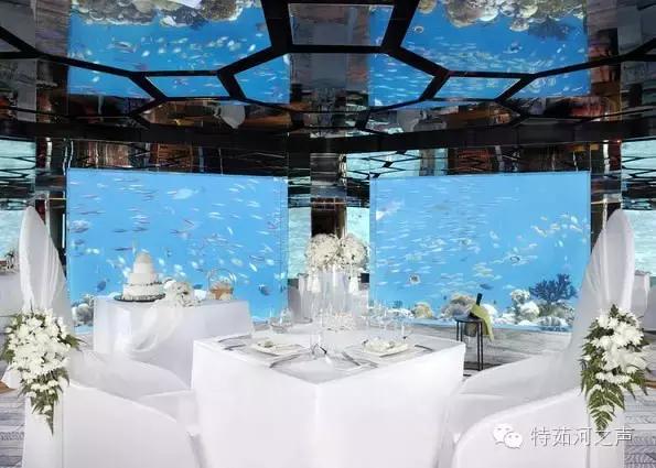 全球最漂亮的海上餐厅,全球十大最美海边餐厅