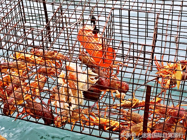 新西兰旅游游记,4月新西兰游记