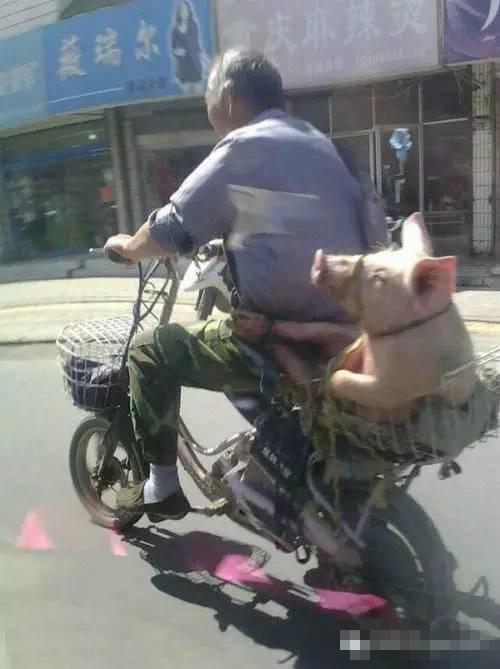 这孩子真的是你亲生的吗？