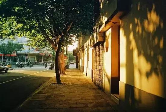 过年上海周边旅游最值得去的地方,上海假期周边旅游攻略大全