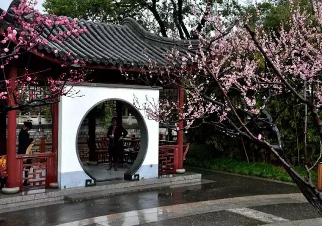 过年上海周边旅游最值得去的地方,上海假期周边旅游攻略大全