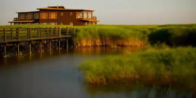 过年上海周边旅游最值得去的地方,上海假期周边旅游攻略大全