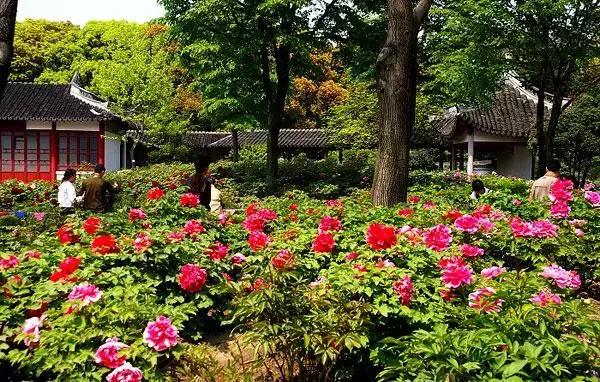 过年上海周边旅游最值得去的地方,上海假期周边旅游攻略大全