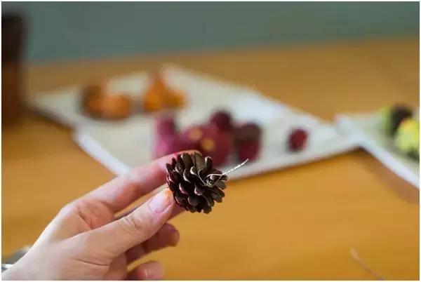 原来松果还能够这么美,原来红杉树也能够很美