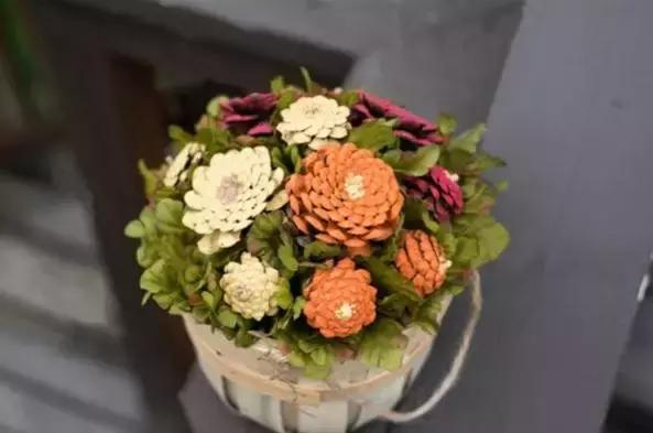 原来松果还能够这么美,原来红杉树也能够很美