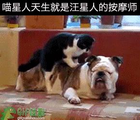 狗狗打嗝是狂犬病吗,狗狗像打嗝似的抽搐