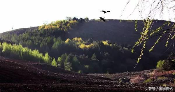 春联和我国各地年俗资料,2023年春节十一字最新新意春联