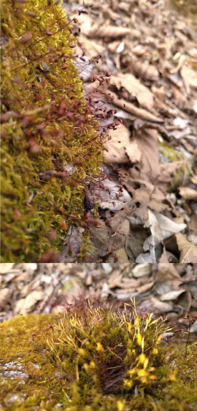 宁夏到陕西的沿途旅游,从宁夏自驾游到重庆多长时间