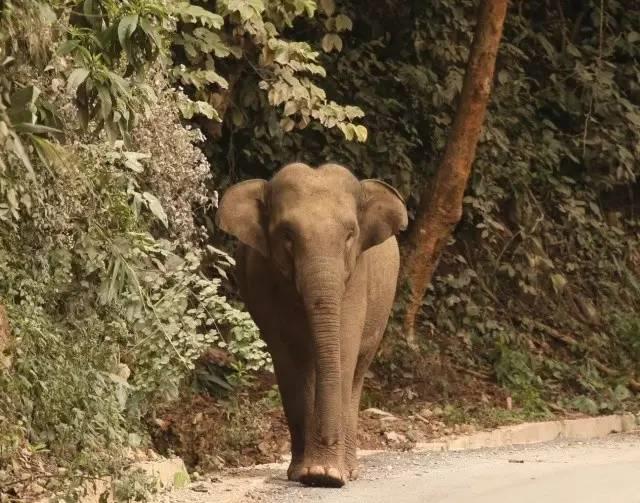 干货分享必读,干货探索与分享