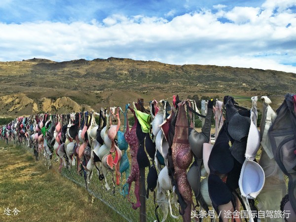 新西兰旅游游记,4月新西兰游记