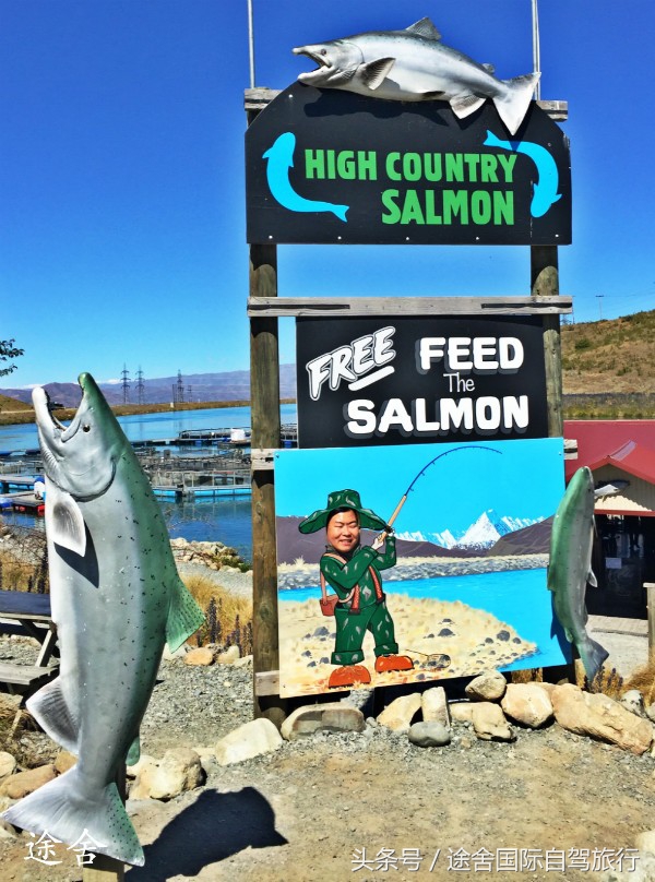 新西兰旅游游记,4月新西兰游记