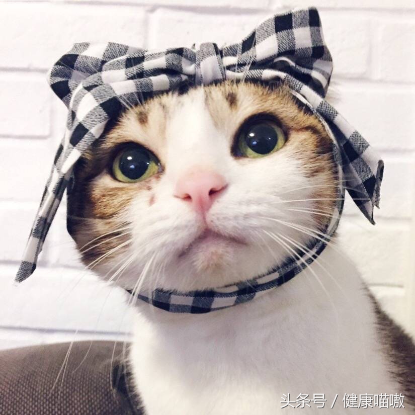 南瓜子治寄生虫生吃还是炒熟,肝长了寄生虫吃南瓜子能够去除吗