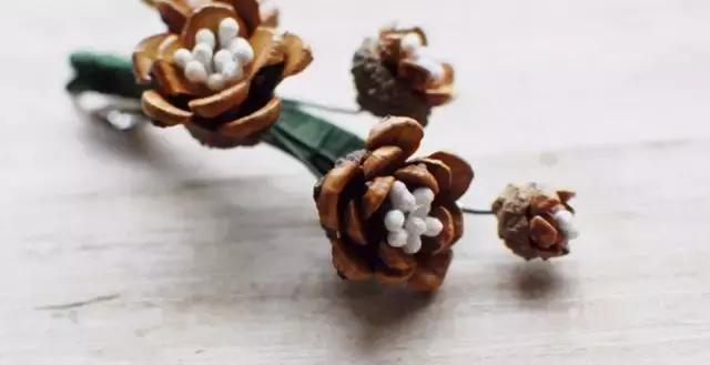 原来松果还能够这么美,原来红杉树也能够很美