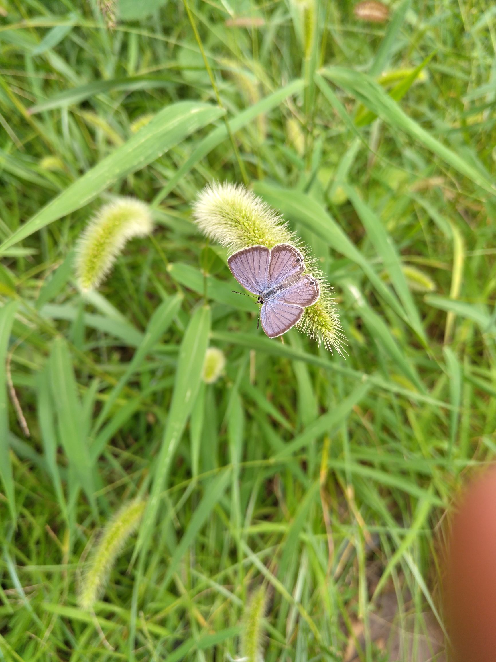 宁夏到陕西的沿途旅游,从宁夏自驾游到重庆多长时间
