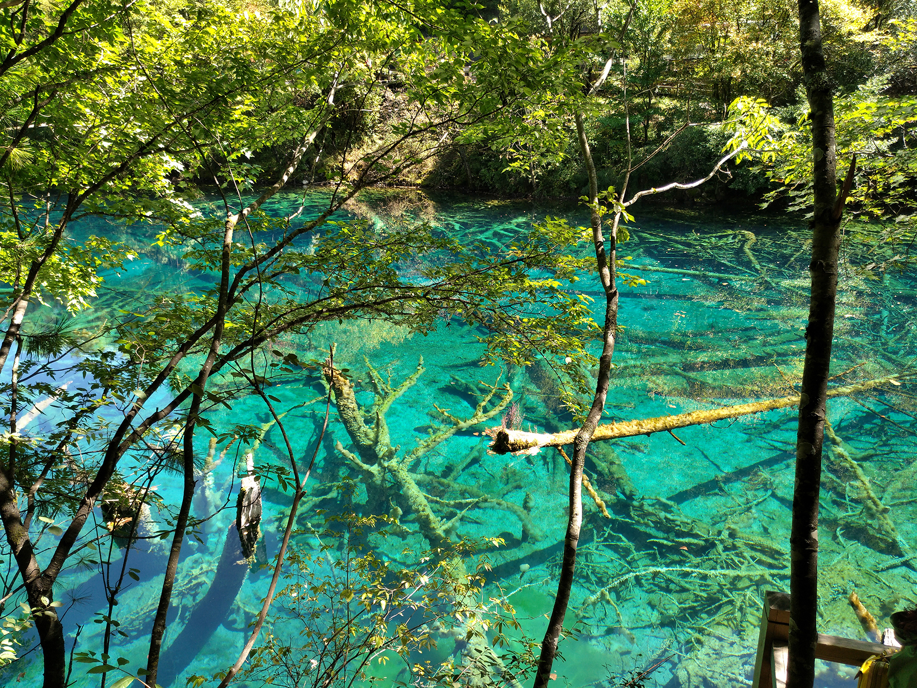 宁夏到陕西的沿途旅游,从宁夏自驾游到重庆多长时间