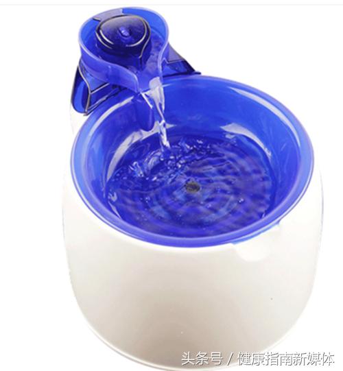 让猫自己在家10天,春节让猫独自在家