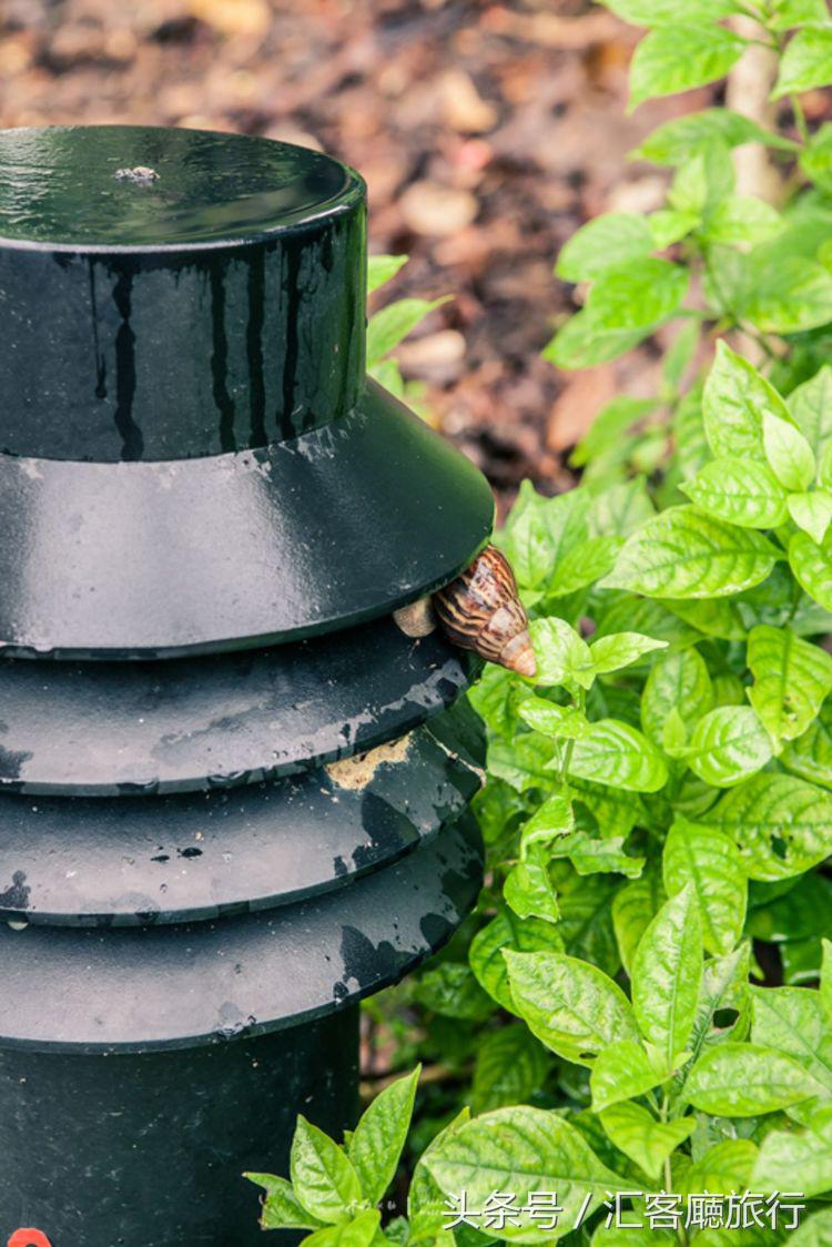 汇客厅2020,狮城新加坡旅游掠影