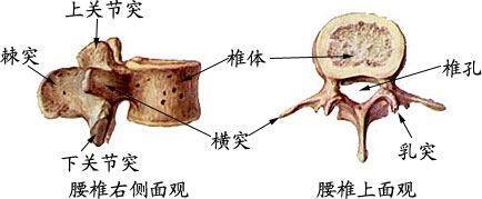 腰椎穿刺术操作流程完成时间,腰椎穿刺术操作考核评分标准