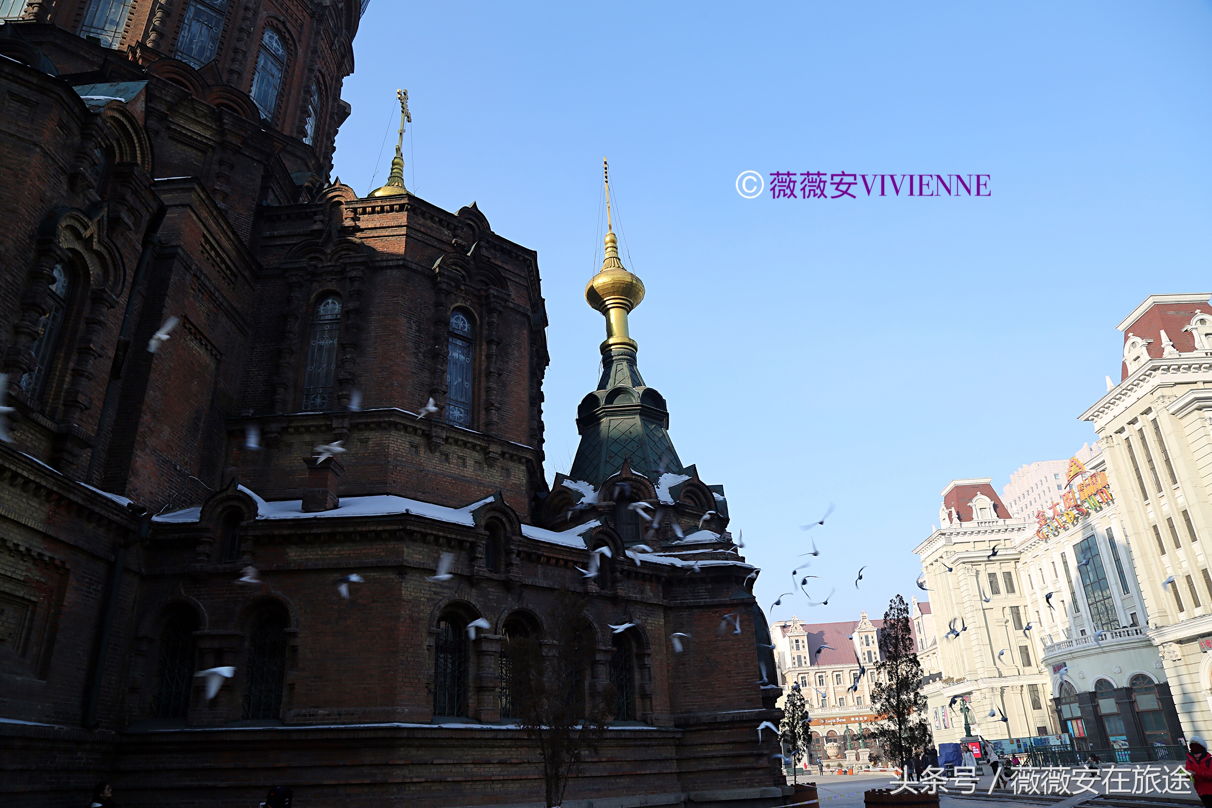 北国冰城之旅,奔赴冰城哈尔滨感受北国浪漫