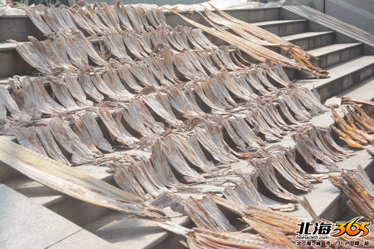 北海海鲜干货市场哪里便宜又好,北海干货海鲜市场哪里便宜