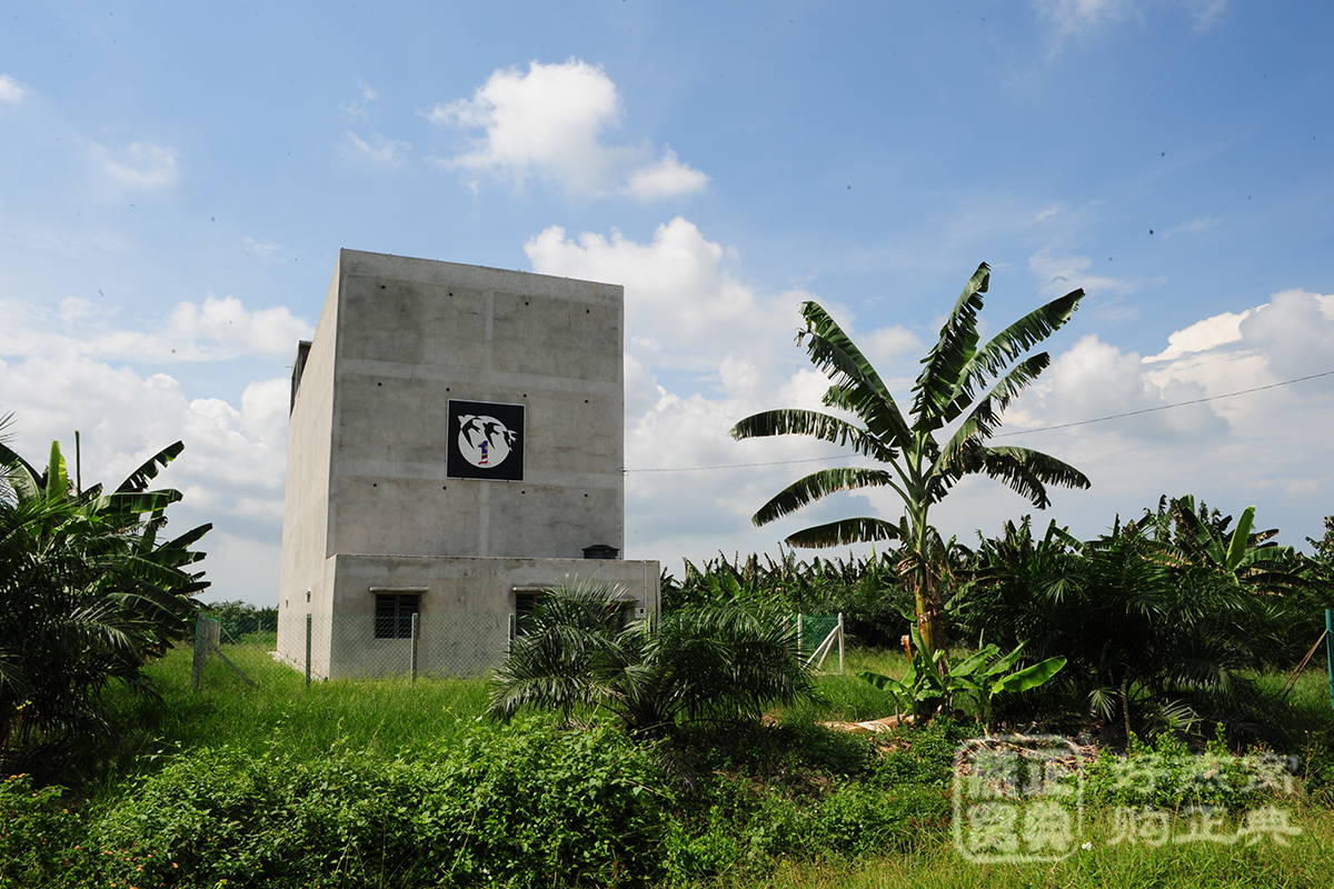 印尼溯源燕窝与其它燕窝区别,燕窝鉴别最简单的方法