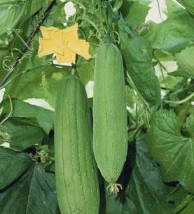 抗皱祛皱的小妙招,涂抹祛皱10分钟解决面部皱纹