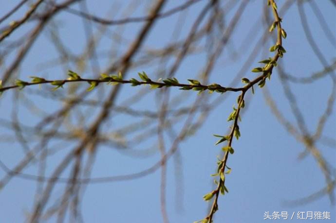 不忘初心方得始终下句是什么呢,不忘初心方得始终什么意思呢